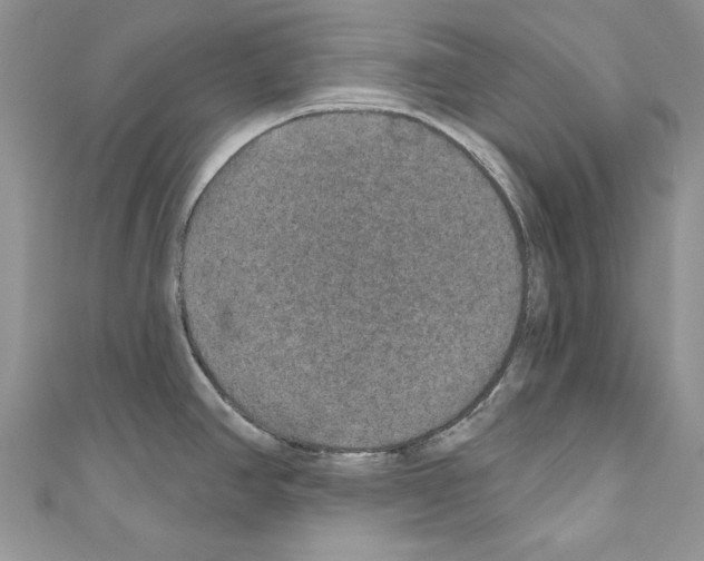 X0000110761390200907271134