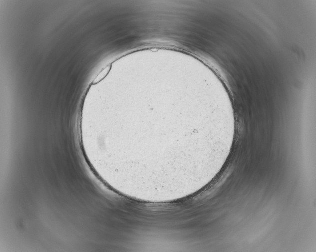 X0000110761391200907271134