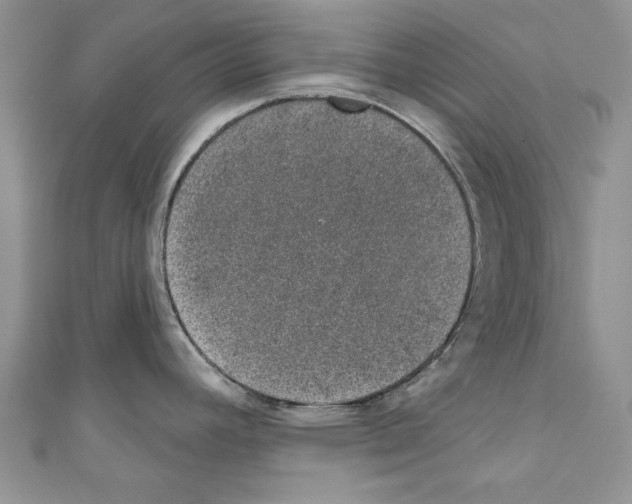 X0000110761392200907271134