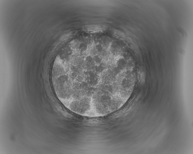 X0000110761393200907271134