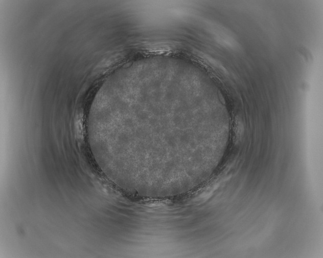 X0000110761394200907271134
