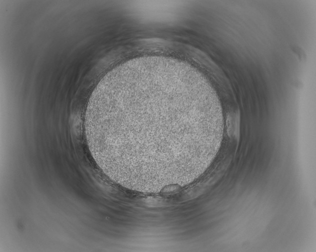 X0000110761395200907271134
