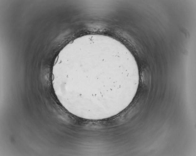 X0000110761396200907271134