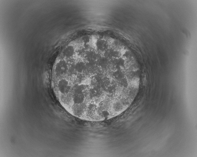 X0000110761397200907271134