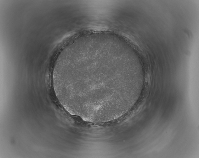 X0000110761398200907271134