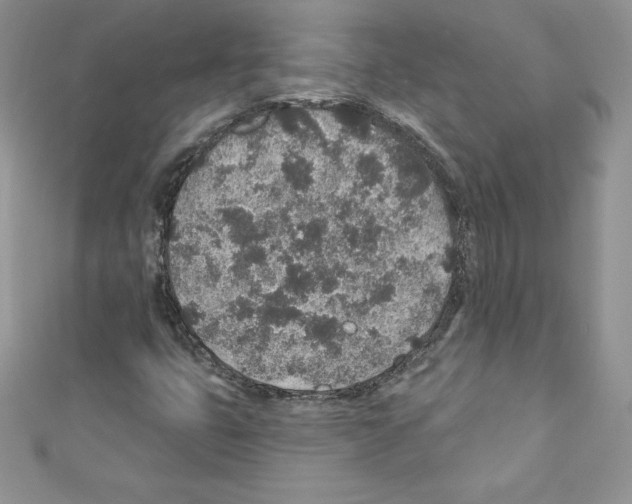 X0000110761399200907271134