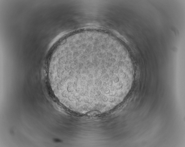 X0000110761400200907271134