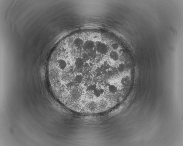 X0000110761401200907271134