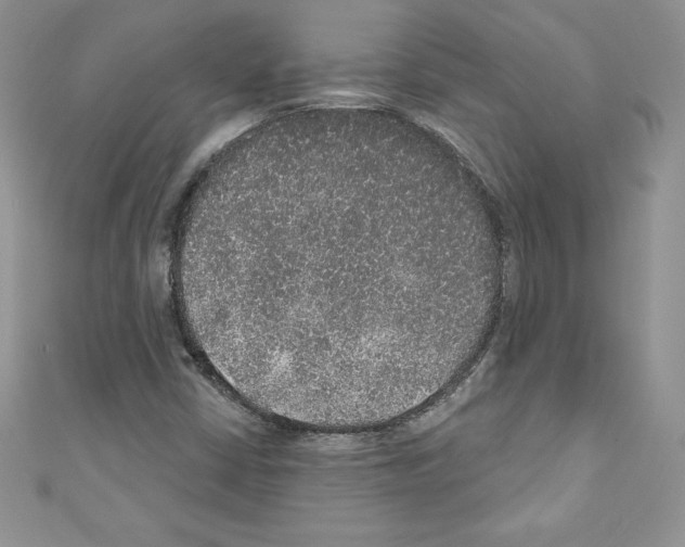 X0000110761402200907271134