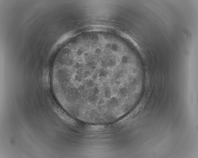 X0000110761403200907271134