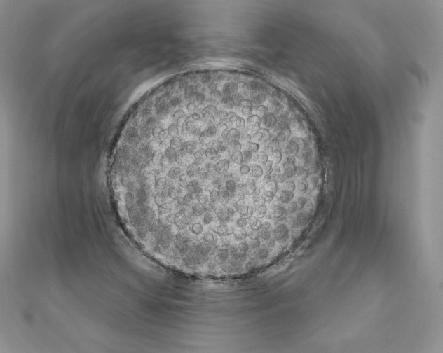 X0000110761404200907271134