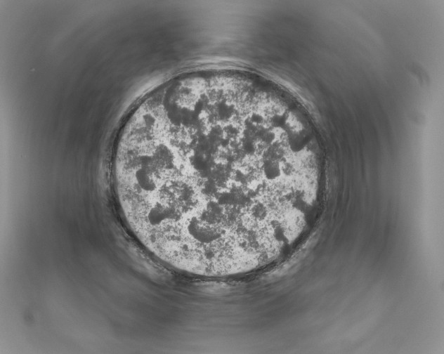 X0000110761405200907271134
