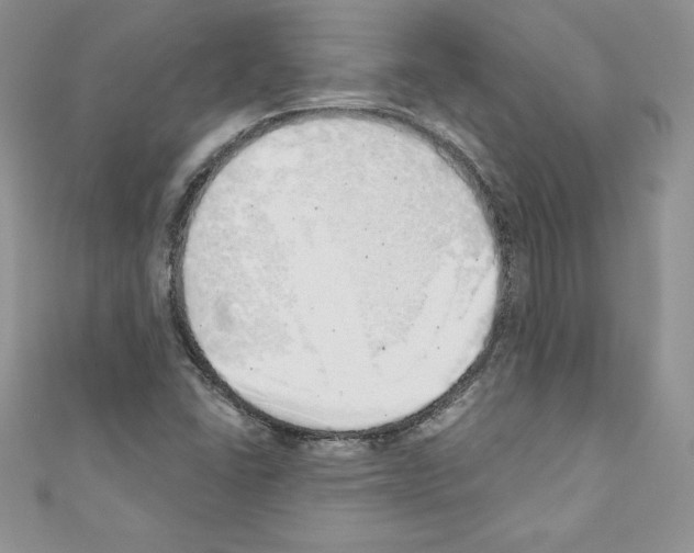 X0000110761406200907271134