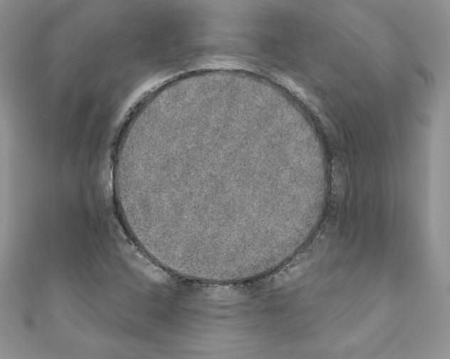 X0000110761408200907271134