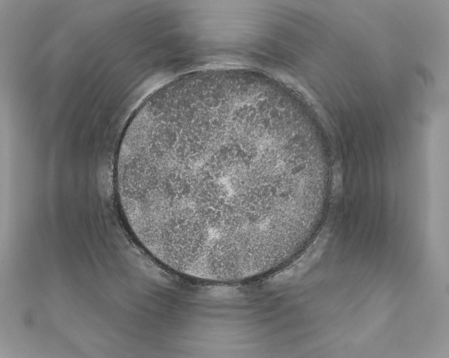 X0000110761409200907271134