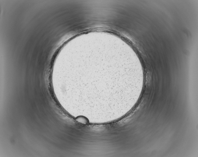 X0000110761410200907271134