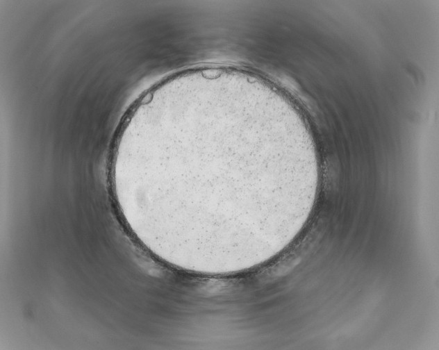 X0000110761412200907271134