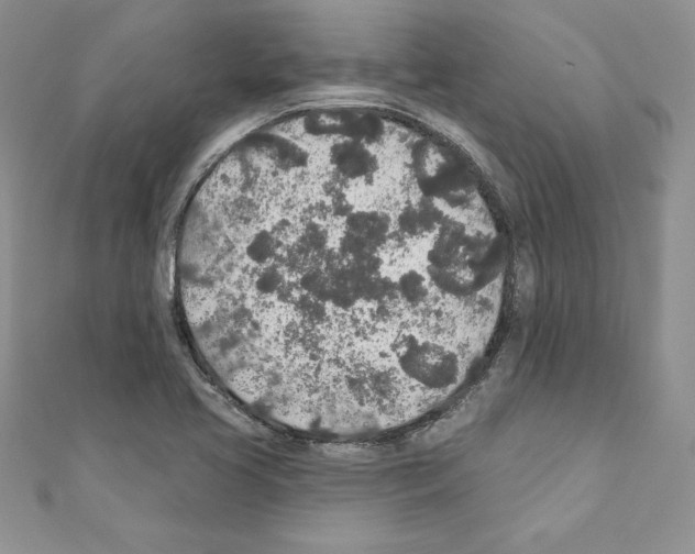 X0000110761413200907271134