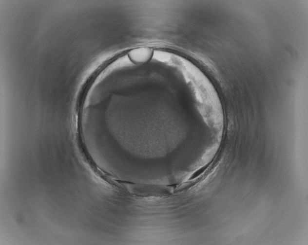 X0000110761414200907271134