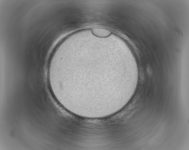 X0000110761416200907271134