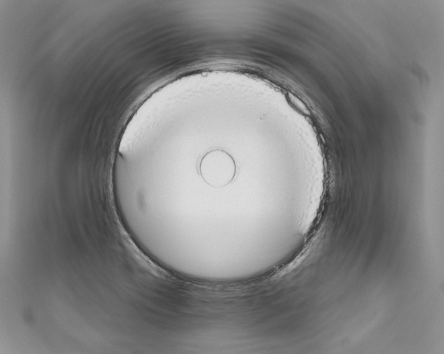 X0000110761417200907271134