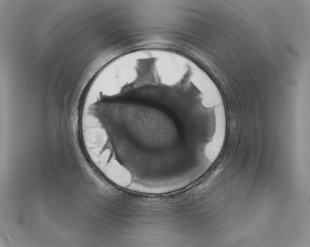 X0000110761418200907271134