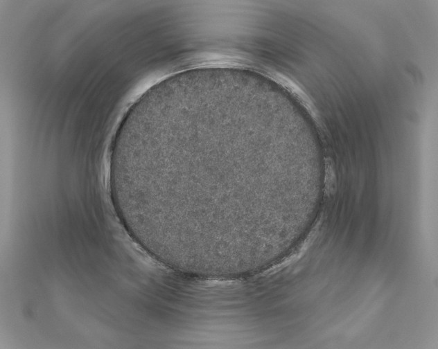 X0000110761419200907271134