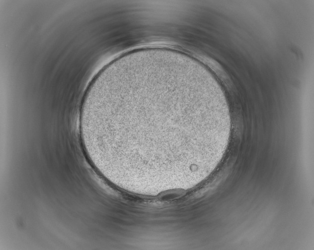 X0000110761420200907271134