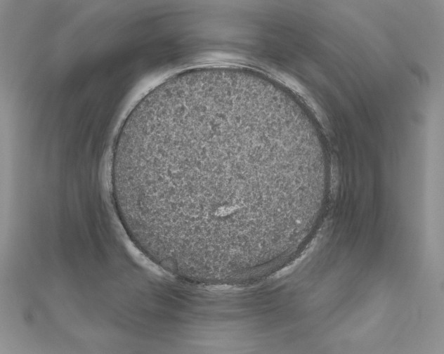X0000110761421200907271134