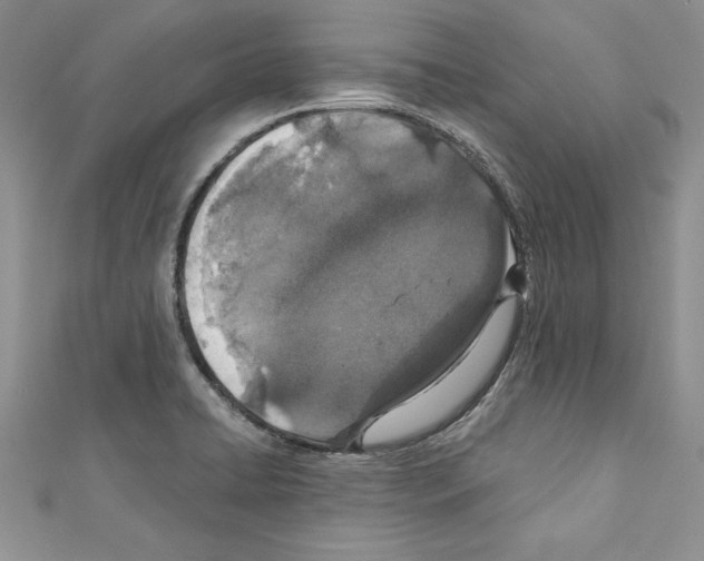 X0000110761422200907271134