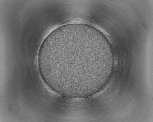 X0000110761423200907271134