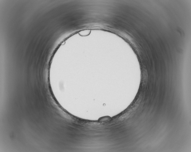 X0000110761424200907271134