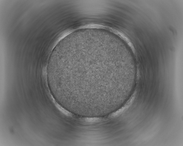 X0000110761425200907271134