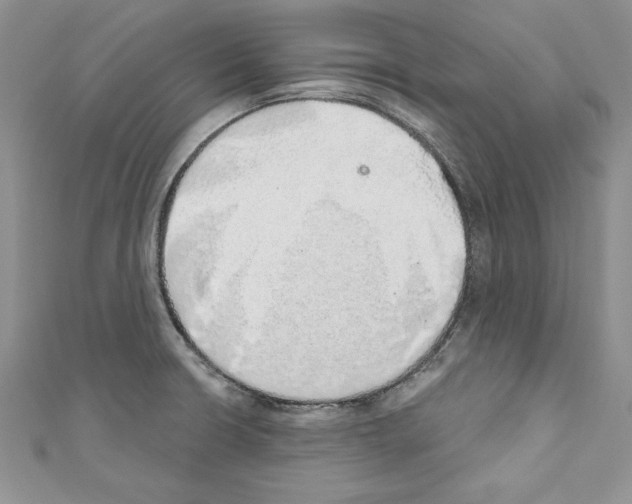 X0000110761426200907271134