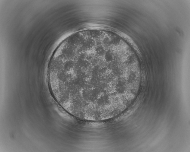 X0000110761427200907271134
