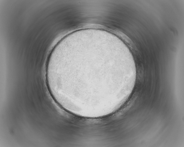 X0000110761430200907271134