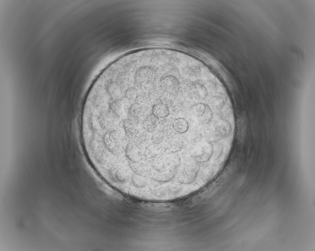 X0000110761432200907271134