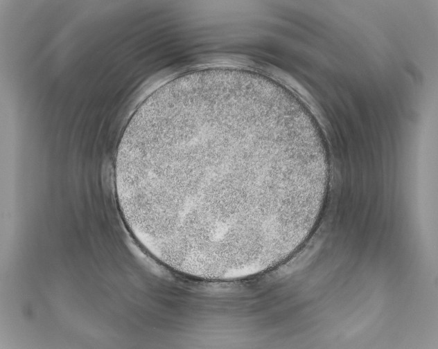 X0000110761433200907271134