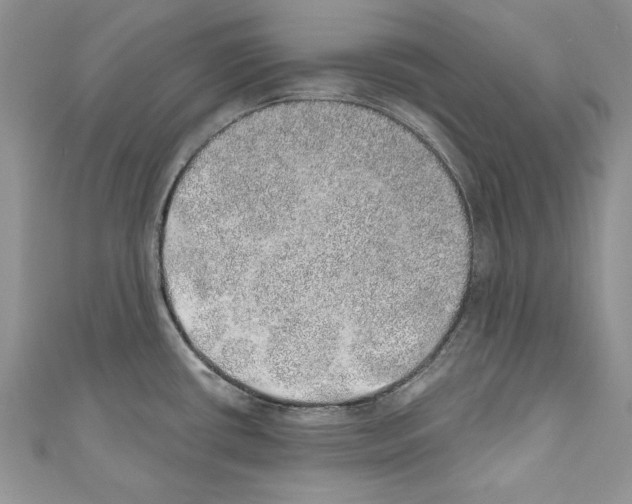 X0000110761434200907271134