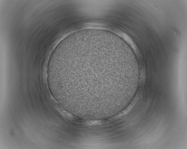 X0000110761435200907271134