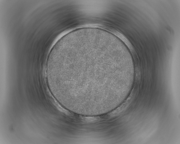 X0000110761436200907271134