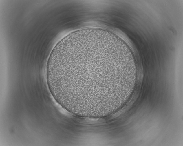 X0000110761439200907271134