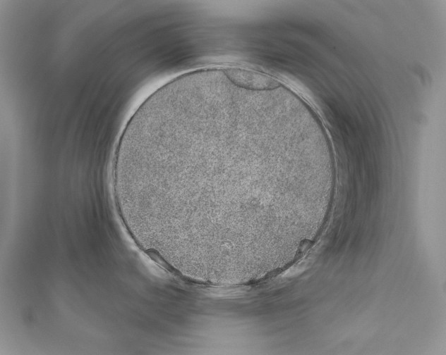 X0000110761440200907271134