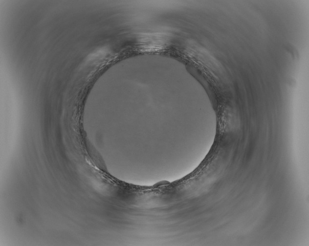 X0000110761441200907271134