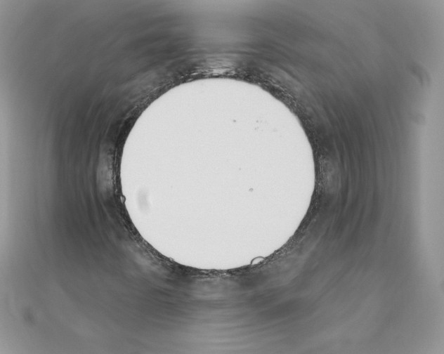 X0000110761442200907271134