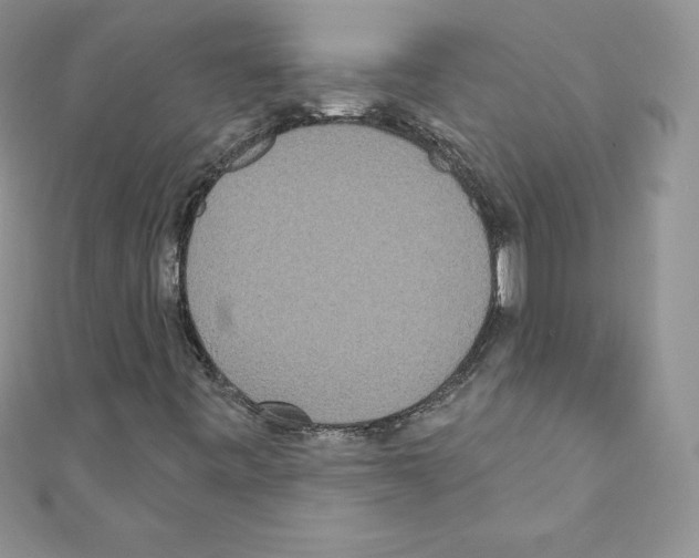 X0000110761443200907271134