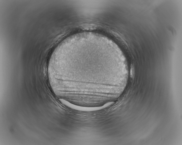 X0000110761444200907271134