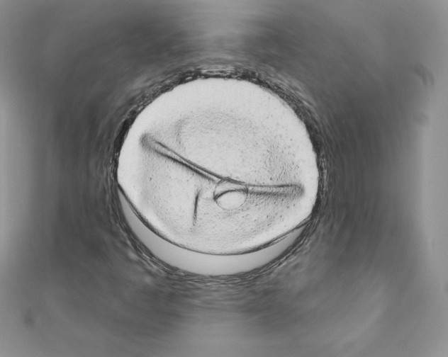 X0000110761445200907271134