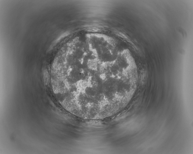 X0000110761446200907271134