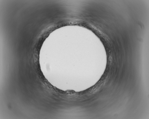 X0000110761447200907271134